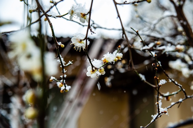理查德森